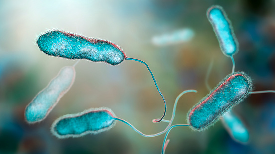 GESTIONE DEL RISCHIO LEGIONELLA IN AZIENDA