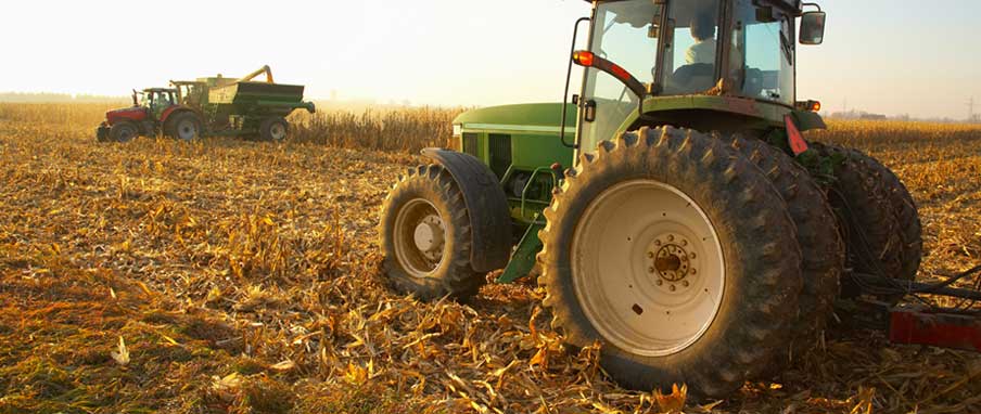 AZIENDE AGROZOOTECNICHE: BUONE PRASSI PER LAVORARE IN SICUREZZA